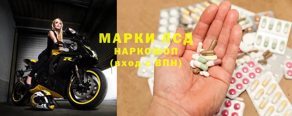 PSILOCYBIN Верея