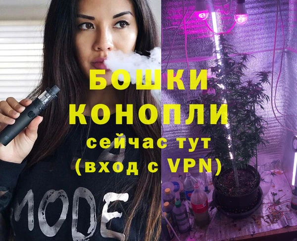 PSILOCYBIN Верея