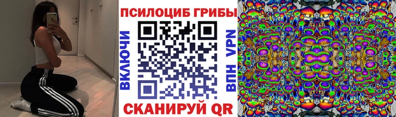 Псилоцибиновые грибы Magic Shrooms  Купить где  Кочубеевское 
