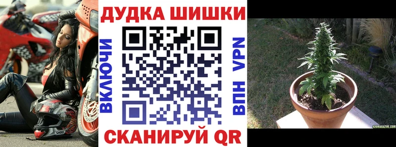 Канабис индика  Купить  Кочубеевское 